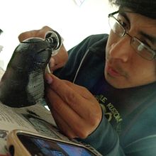 mouse gusano. Un proyecto de Diseño de producto de Jhon Asqui - 12.09.2018