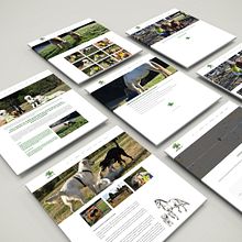 Grupo trebol . Web Design, and Logo Design project by Frederic Casas Torres - 09.18.2018
