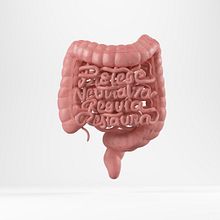 Intestinos 3D lettering. 3D, Lettering, T, and pograph project by Rebeca G. A - 09.17.2018