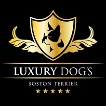 LUXURY DOGS.  Boston Terrier. Design project by Irene Serrano - 09.19.2018