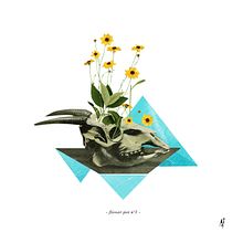 Flowerpots. Projekt z dziedziny  Kolaż, Design, Trad, c i jna ilustracja użytkownika _de_amanda - 19.09.2018