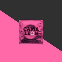 Camaleón Ein Projekt aus dem Bereich Br, ing und Identität, Grafikdesign und Verpackung von Leandro Pollano - 24.09.2018