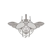 Illustración "Coleoptero". Un progetto di Disegno, Graphic design, Illustrazione tradizionale, Illustrazione digitale e Illustrazione vettoriale di Ángel J. García - 25.09.2018