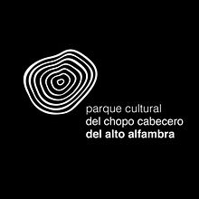 Parque del Chopo Cabecero Identity. Un progetto di Graphic design di Alvaro Polo - 25.09.2018