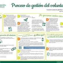 Infografía «Proceso de gestión del voluntariado». Un progetto di Design di poster , Graphic design e Infografica di Nerea Aguilera García - 27.06.2018