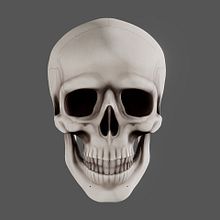 Human Skull. 3D, and 3D Character Design project by Roman C. Ojer - 12.18.2016