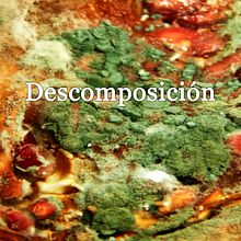 Descomposición. Een project van Fotografie, Studiofotografie y Productfotografie van Adriana Bencomo Hernandez - 27.09.2018