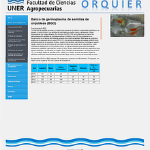 OrquiER . % Facundo Collado tarafından hazırlanan Programlama, Web Geliştirme, Ve Tasarım projesi - 06.16.2016