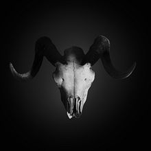 Selfie. Un proyecto de Bellas Artes, Diseño, Fotografía y Fotografía con móviles de Laura Vázquez Torrescusa - 27.09.2018