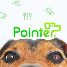 Pointer. Br, ing, Identit, Logo Design, and Graphic Design project by Marta Bolancel - 09.19.2015