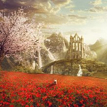 Heaven. Un progetto di Arte concettuale, Fotografia, Illustrazione digitale, Postproduzione fotografica e Ritocco fotografico di Juan Manuel González López - 08.10.2018