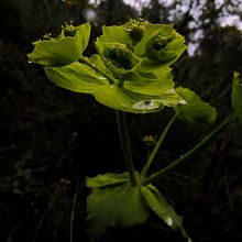 ¡Click! Naturaleza. Photograph project by Liseth G.L. - 10.10.2018