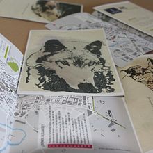 Ilustración, gráfica, composición. Un proyecto de Dibujo, Dirección de arte, Diseño, Diseño editorial, Diseño gráfico, Ilustración tradicional e Ilustración digital de Sandra Ramirez-Cardenas Amer - 11.10.2018