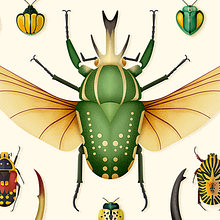 Coleoptera. Colección de ilustraciones de escarabajos. Graphic Design, Traditional illustration, Digital Illustration, and Vector Illustration project by David Comerón - 10.17.2018
