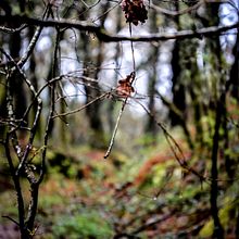 Galicia . Projekt z dziedziny Fotografia użytkownika Francisco Brea García - 19.10.2018