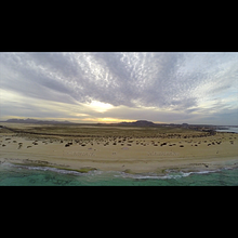 FUERTEVENTURA. Un proyecto de Vídeo de Tomás Arencibia Pérez - 08.05.2016