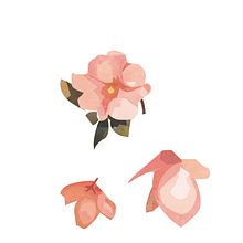 Logotipos. Un projet de Dessin, Création de logos , et Design graphique de Olga Fernández Ribera - 22.10.2018