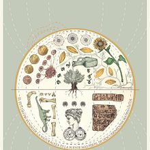 Diseño de portada. Un proyecto de Bellas Artes, Collage, Dibujo, Dibujo a lápiz, Diseño, Diseño editorial, Encuadernación, Ilustración tradicional e Ilustración digital de Cristina Calvache Quesada - 23.10.2018