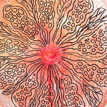 Interrupcion de la mitosis. Un proyecto de Arte urbano, Bellas Artes, Dibujo, Dibujo de Retrato, Fotografía, Ilustración tradicional y Pintura de Cristina Calvache Quesada - 23.10.2018
