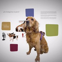 Educación Básica - El Encantador de perros . Cop, writing, Creativit, and Advertising project by Gontxalo - 10.24.2009
