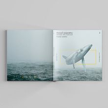 MANUAL CORPORATIVO. Design, Poster Design, Information Design, Logo Design, Editorial Design, and Graphic Design project by Javier Abellán García - 10.26.2018