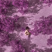 natura vs natura . Portrait Photograph project by Felix Barra - 10.29.2018