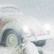 Love The Beetle . Fotografi proyek oleh Abelardo Rodriguez - 05.20.2018