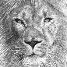 Dibujo. Desenho, e Desenho a lápis projeto de Giovanna Geremia - 29.10.2018