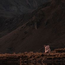 In a secret place . Een project van Fotografie, L y scaping van Alejandro Gussep - 30.10.2018