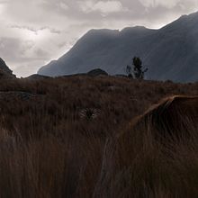 libertad en las alturas. Een project van Fotografie, L y scaping van Alejandro Gussep - 30.10.2018