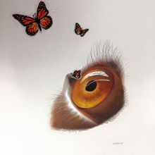 Miradas. Embroider, and Drawing project by Brenda Paola Cristán García - 09.21.2017