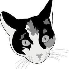 Gatita para tatuaje Ein Projekt aus dem Bereich Design und Digitale Illustration von Lala Scarlet - 19.09.2018
