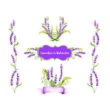 Flores Lavandas Ein Projekt aus dem Bereich Traditionelle Illustration von Paola Giusti - 31.10.2018