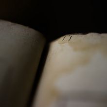 Neumas. Un projet de Photographie de nachok - 02.09.2018