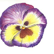 Pensamiento en acuarela. Un projet de Beaux Arts de Myriam - 16.11.2018