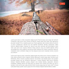 stiky_web. Design, and Web Development project by Jaime Rehbein - 11.04.2018