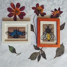Retratos de insectos. Un projet de Broderie de Edwin Eduardo De La Rosa López - 07.11.2018
