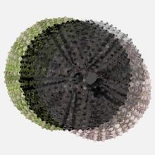 Eriç de terra, castanya de mar.. Un proyecto de Diseño gráfico y Fotografía de Anna Esplandiu - 07.11.2018