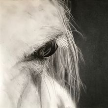 Cavall. Realistic Drawing project by Llanos Part Jornet - 11.09.2018