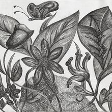 Nature moment - Graphite. Drawing, Artistic Drawing, and Traditional illustration project by Sandra Cartellone - 11.11.2018