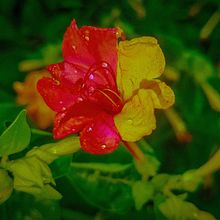 Logo para banda local panameña. Design, Logo Design, Graphic Design, Traditional illustration, and Digital Illustration project by Melquisedec Stocel - 11.14.2018