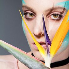 Natural Mystic. Art Direction, Photograph, Studio Photograph, and Fashion Photograph project by Mech Ibañez - 12.20.2015