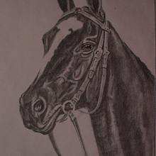 Caballo. Un projet de Dessin au cra , et on de Edward Acero - 17.11.2018