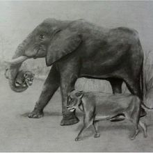 Salva(je)me. Un progetto di Disegno, Disegno a matita e Disegno artistico di Hoream Barrio Reyes - 18.11.2018