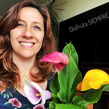 Disfrutar de lo simple. Fotografia com celular projeto de Vivian Suárez - 18.11.2018