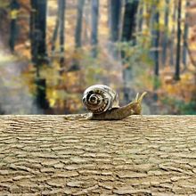 CARACOL. 3D project by Gabriel Delgado - 07.20.2018