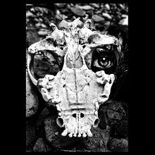 Eye No. Un progetto di Collage e Fotografia con smartphone di Miguel A. R. - 20.11.2018
