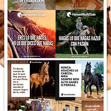 Social Media Horses World Sale imagenes Redes Sociales. Projekt z dziedziny Br, ing i ident, fikacja wizualna, Projektowanie graficzne, Zarządzanie portfolio,  Reklama i Portale społecznościowe użytkownika Freshmedia - 22.11.2018