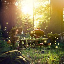 Forest Typography. Un progetto di Ritocco fotografico di David Nieto Rojas - 23.11.2018
