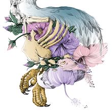 La Carrera del Dodo. Fine Arts, Drawing, and Traditional illustration project by Belén Moreno - 11.25.2018